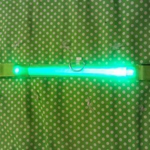 Light up dog collar